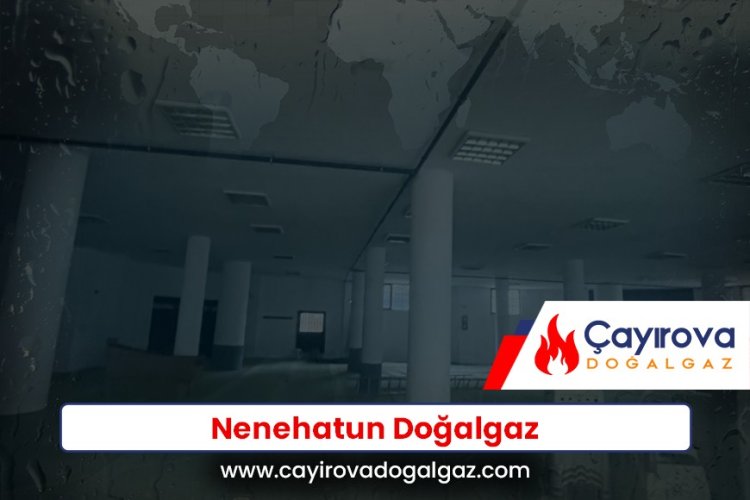 Nenehatun Doğalgaz